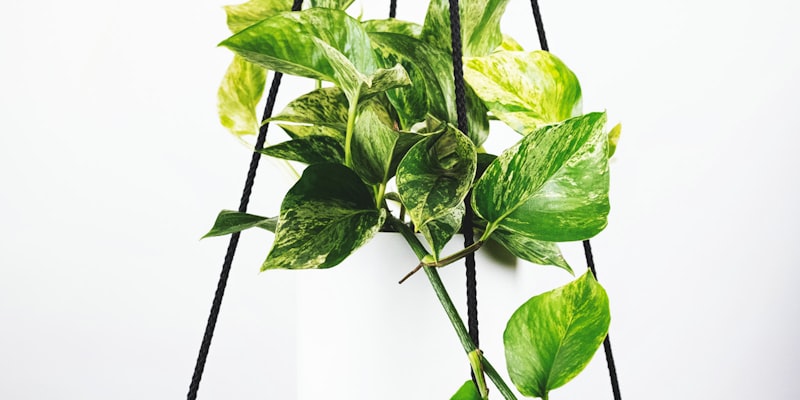 世界杯主办城市体育场馆外景及球迷聚集盛况